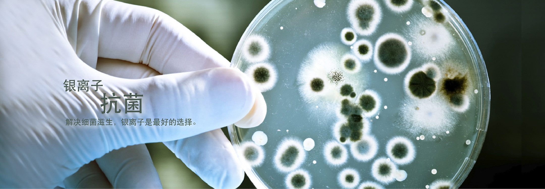 抗菌防霉,生物降解